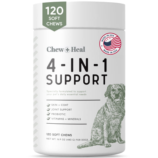 4-IN-1 Vitamins and Minerals To Improve Support