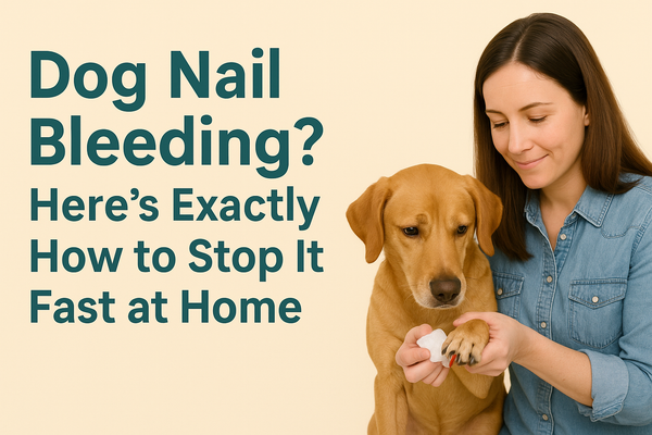 Dog Nail Bleeding? Here’s Exactly How to Stop It Fast at Home