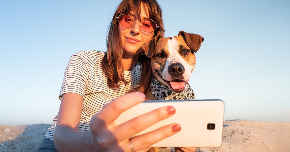 Can Your Dogs Benefit From Hemp?