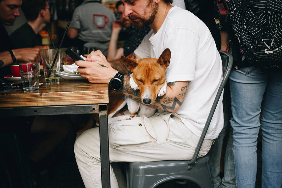 Dog Friendly Restaurants