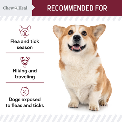 Chewable Flea and Tick Prevention for Dogs