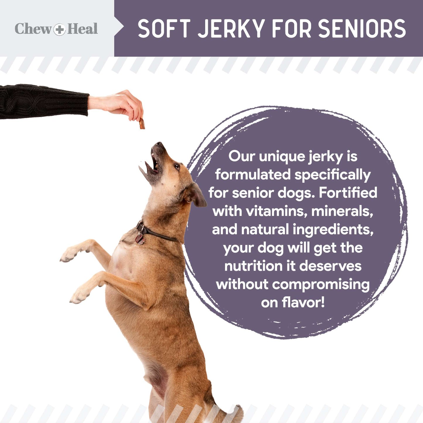 Seniors Soft Salmon Jerky Treats