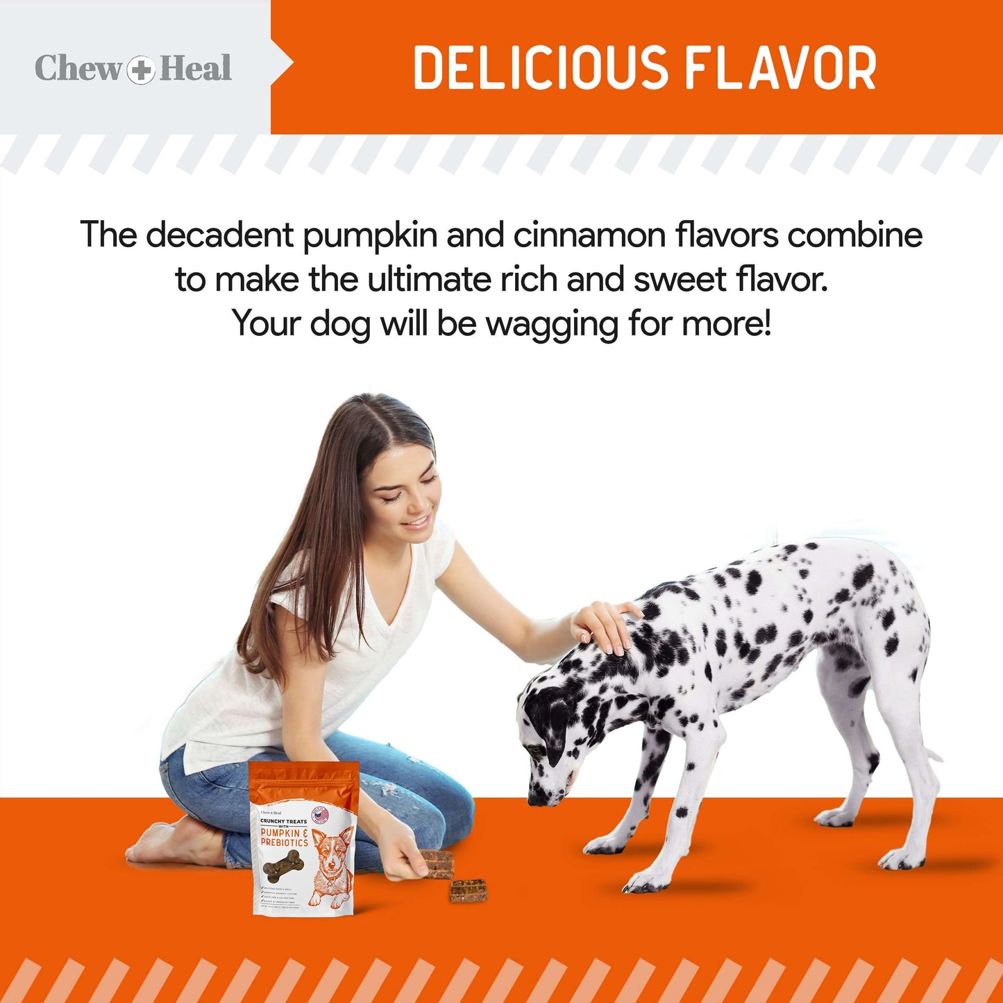 Crunchy Biscuits for Dogs - 12 oz of Dog Treats with Pumpkin and Prebiotics