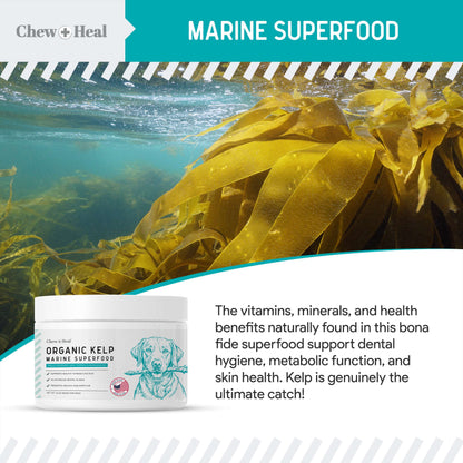 Organic Kelp Marine Superfood Granules Dental Supplement for Dogs