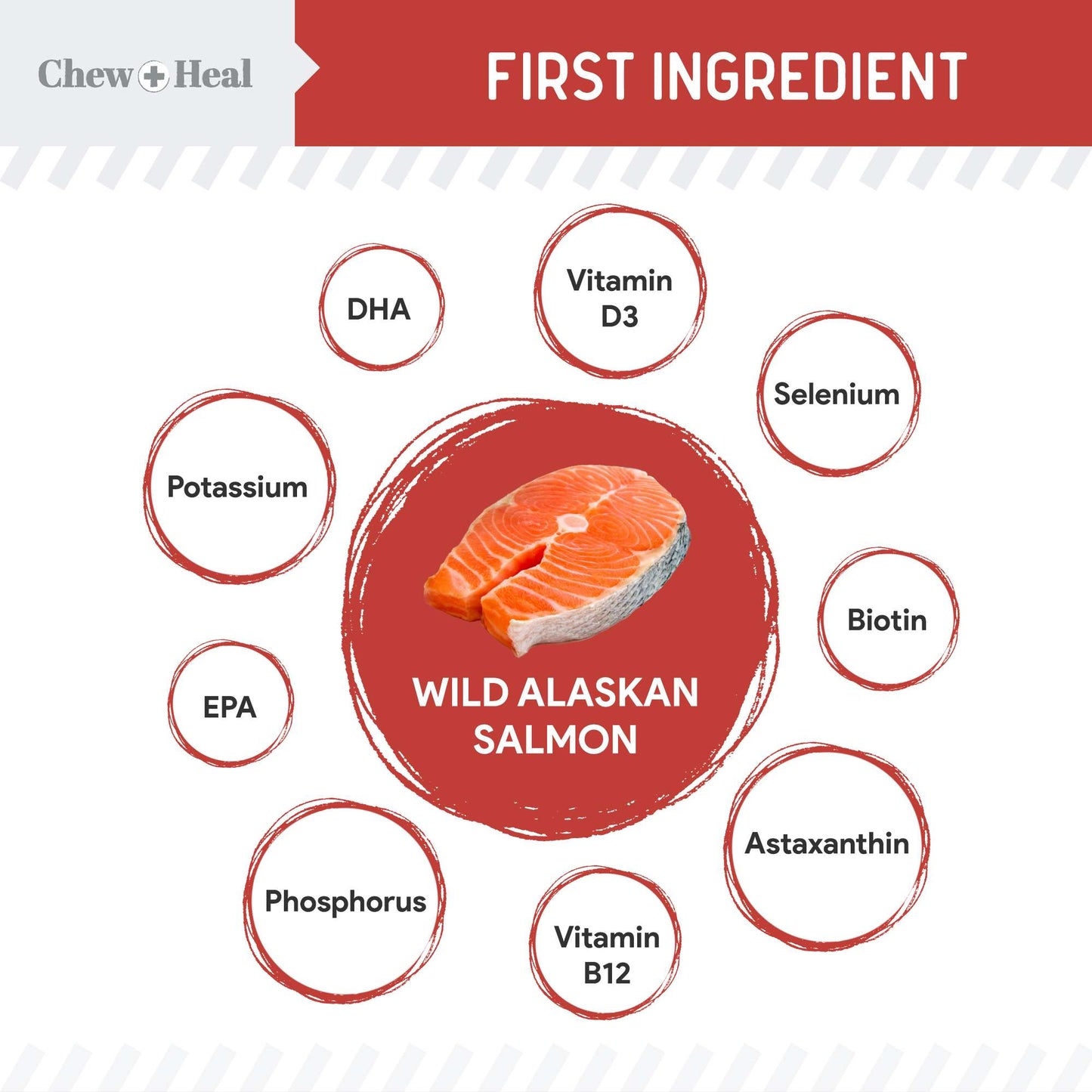 Focus Wild Alaskan Salmon Limited Ingredient Soft Jerky Dog Treats