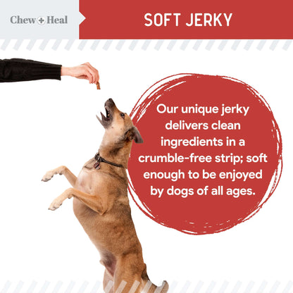 5 oz Dog Cognitive Salmon Jerky Treats – Gingko Biloba, Cranberries, Pumpkin