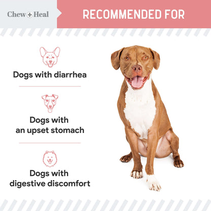 Stop The Diarrhea Liquid Digestive Aid for Dogs