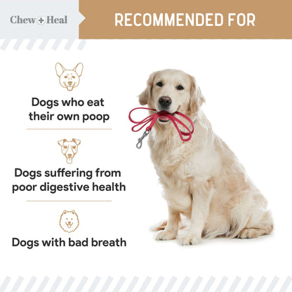Stop The Poo Chew Coprophagia for Dogs