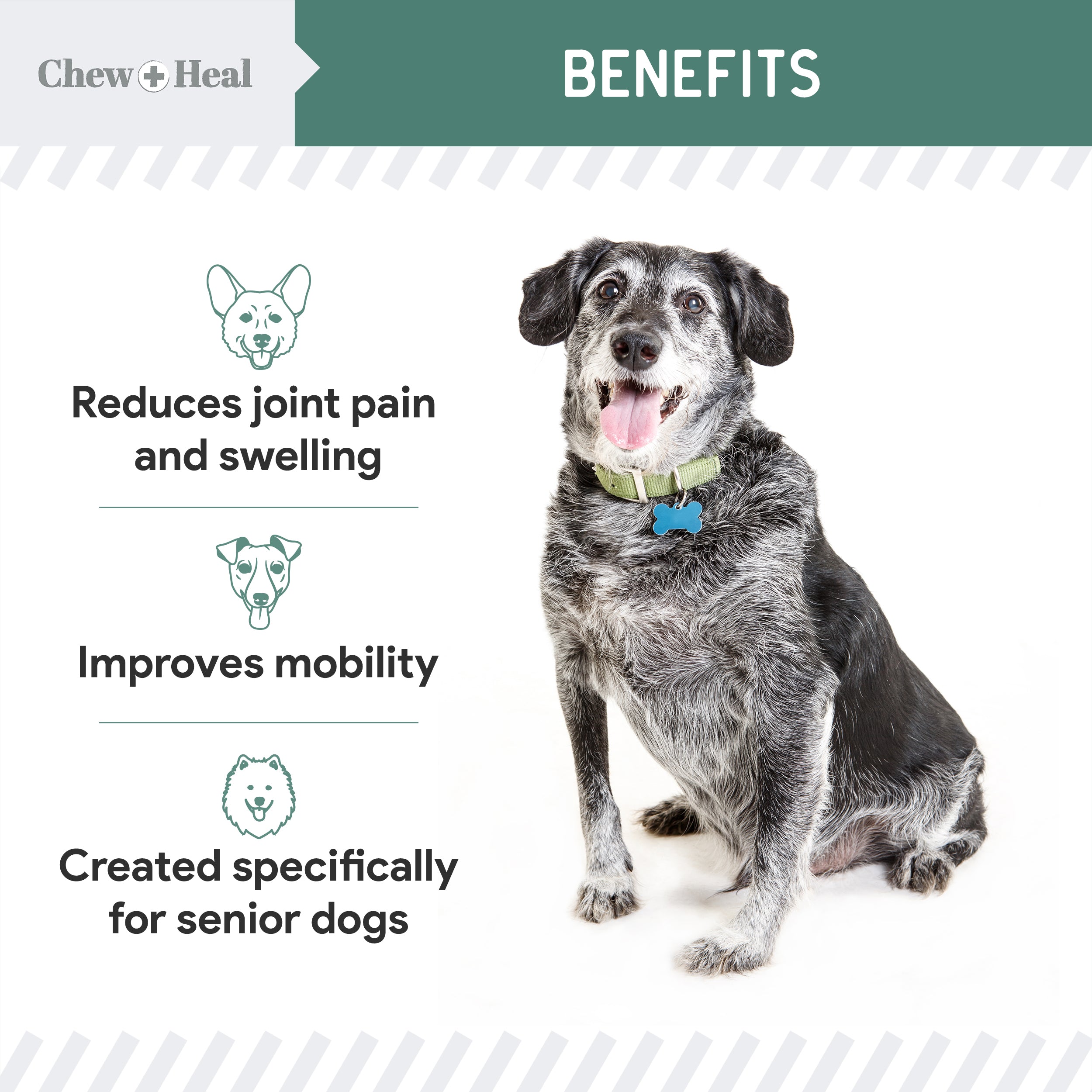 Hip & joint health for best sale senior dogs