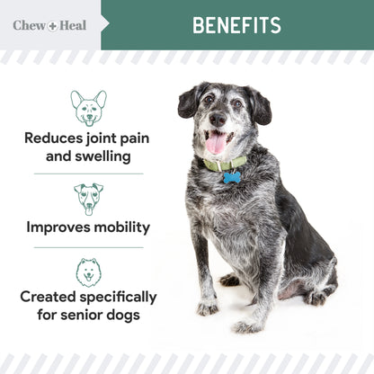 Hip And Joint Supplement For Dogs