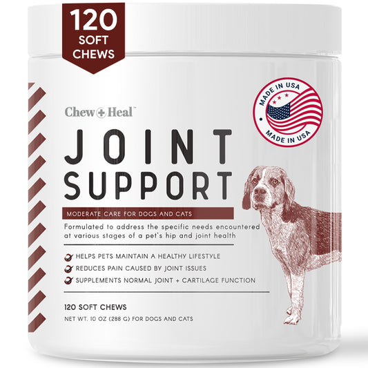 Joint Supplements For Dogs and Cats