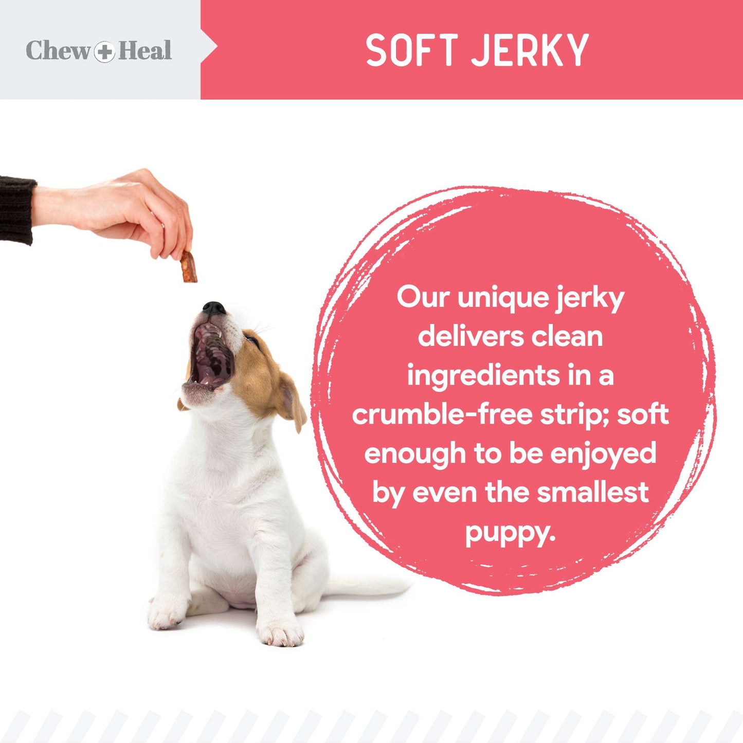 Salmon Jerky for Puppies - 5 oz of Salmon Dog Treats for Puppy Development