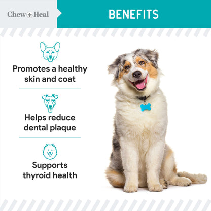 Organic Kelp Marine Superfood Granules Dental Supplement for Dogs