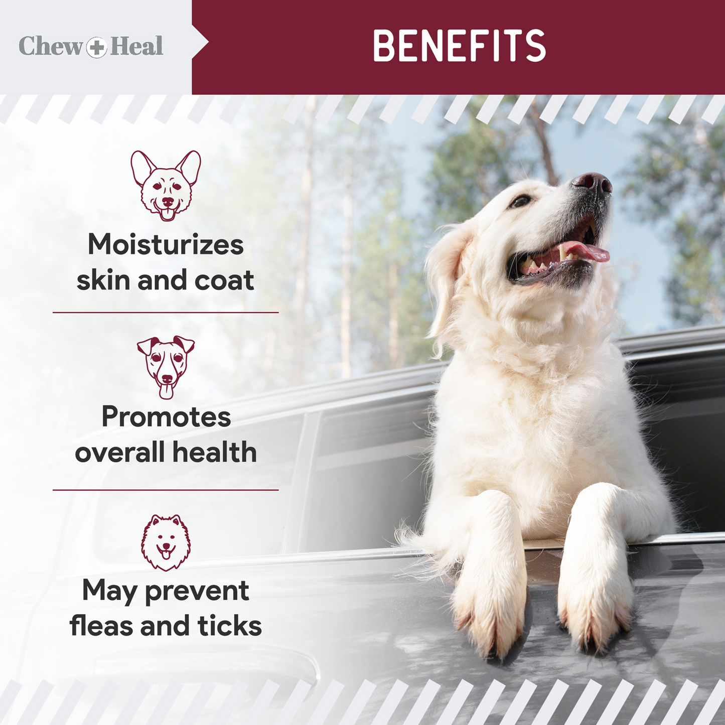 Chewable Flea and Tick Prevention for Dogs