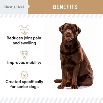 Glucosamine for Senior Dogs Hip and Joint - 120 Peanut Butter Flavor Soft Chews