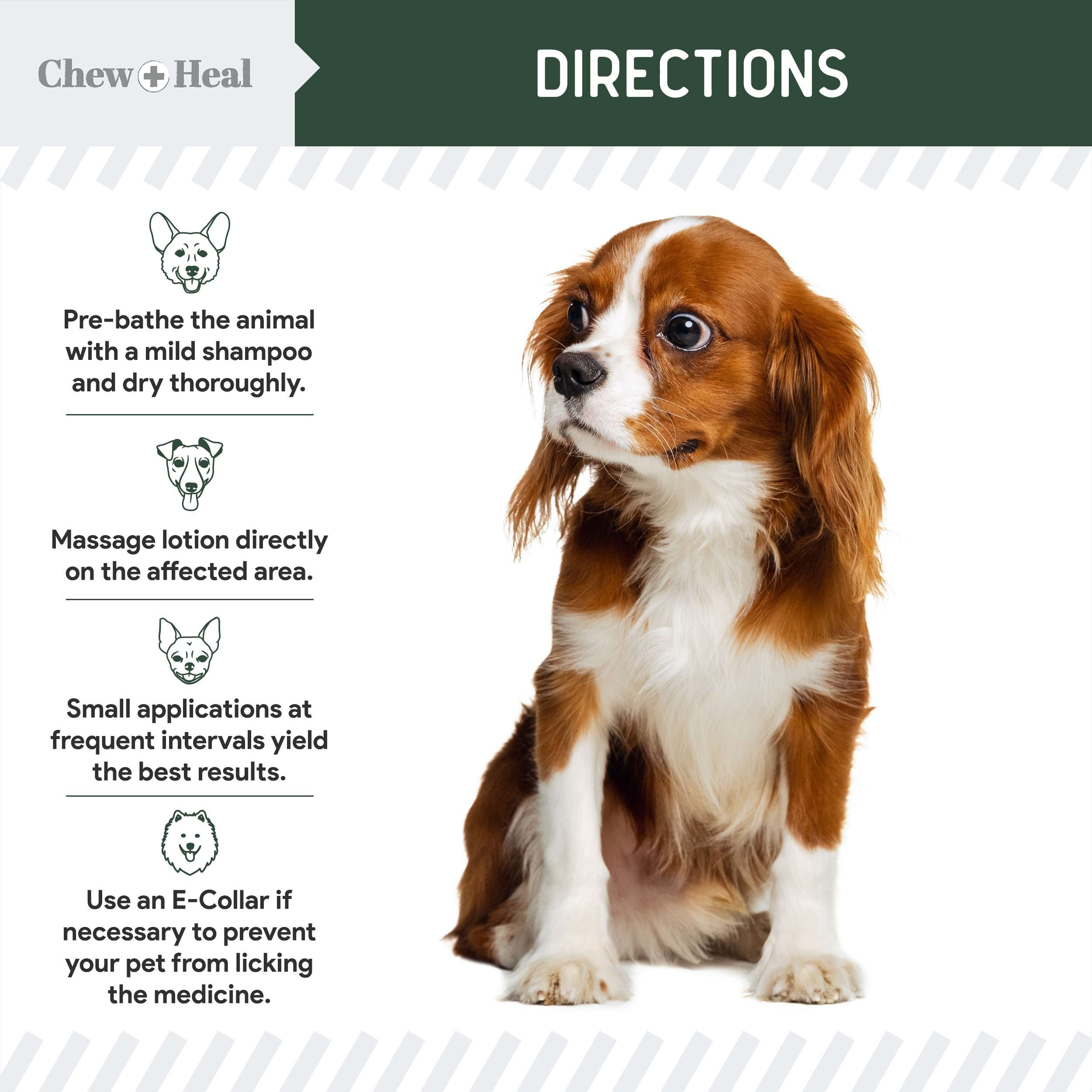 Hydrocortisone Lotion for Dogs Chew Heal